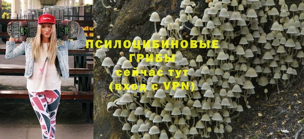 кокс Арсеньев