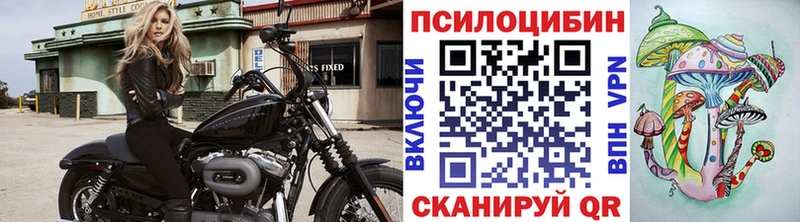 Галлюциногенные грибы прущие грибы  Лихославль 